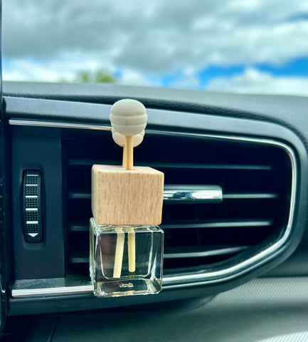 CAR DIFFUSER VENT VERSION