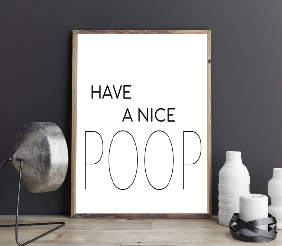 HAVE A NICE POOP FARMHOUSE PRINT